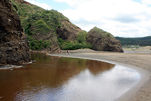 Waitakere River at Bethells Beach photo