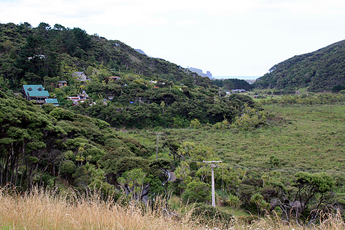 Bethells Beach Settlement photo