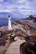 Castlepoint Reef photo