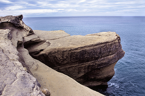 Castlepoint Reef photo