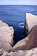 Castlepoint Reef photo