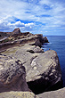 Castlepoint Reef photo