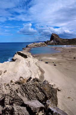 Castlepoint Reef photo