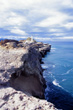 Castlepoint Reef photo