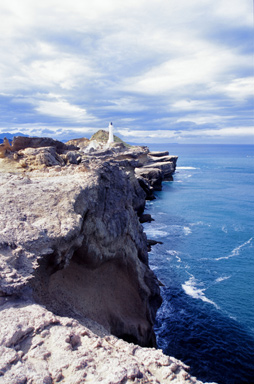 Castlepoint Reef photo