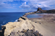 Castlepoint Reef photo