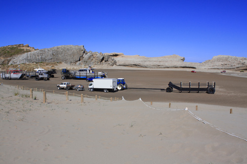 Sand & the Reef at Castlepoint photo