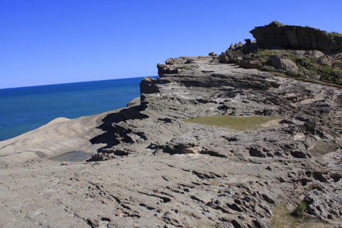 Castlepoint Reef Outcrop photo