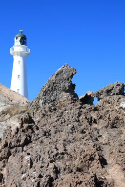 Lighthouse & Uplifted Reef photo