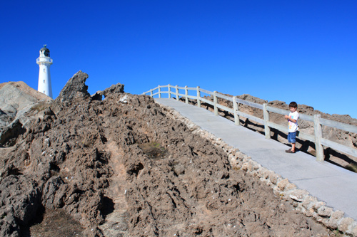 Lighthouse Walk Castlepoint photo