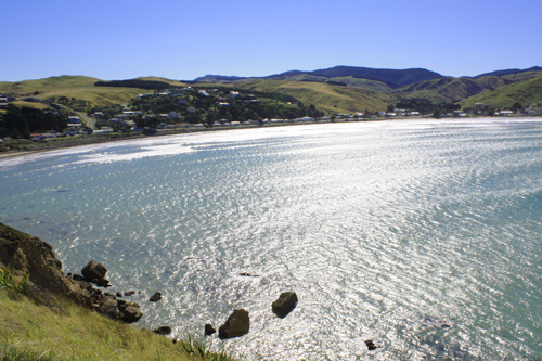 Pacific Ocean Castlepoint photo