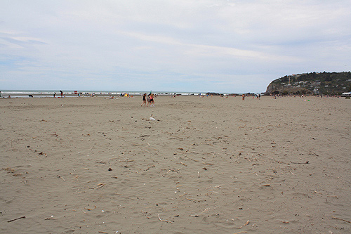 Sumner Beach photo