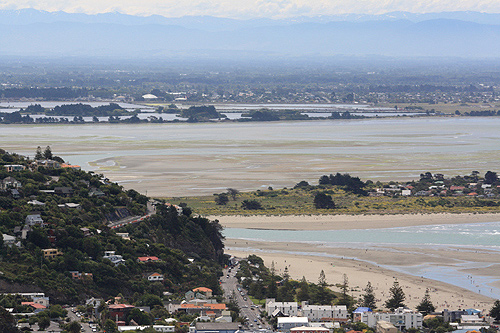 Avon Heathcote Estuary photo