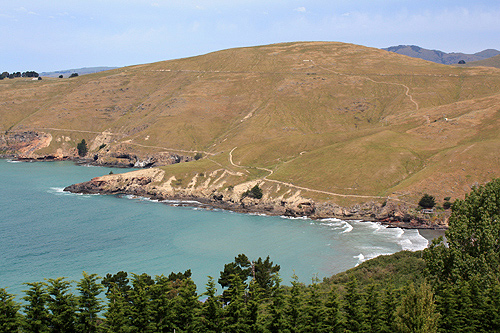 Godley Head photo