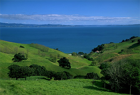 Eastern Coromandel photo