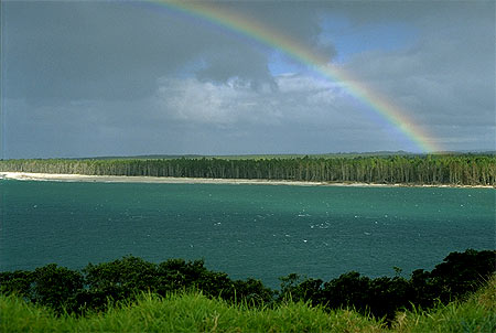 Tauranga Harbour photo