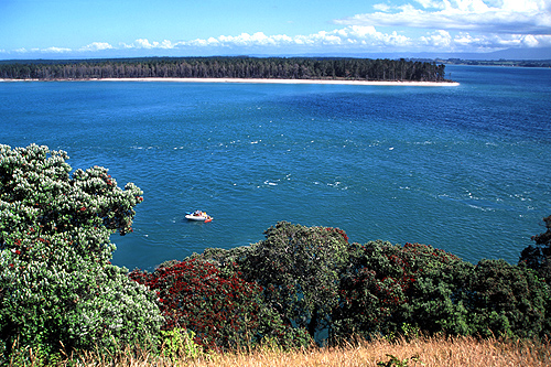 Tauranga Harbour photo