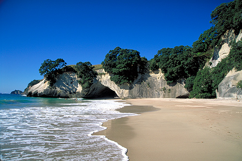 Cathedral Cove Coromandel