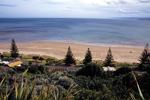 Tokomaru Bay photo