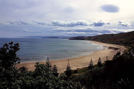 South Tokomaru Bay photo