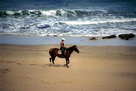 Tokomaru Bay photo