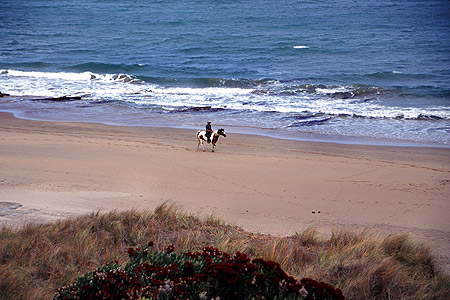 Tokomaru Bay photo