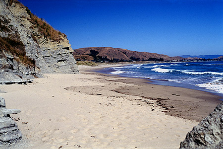 Southern Wainui Bay photo