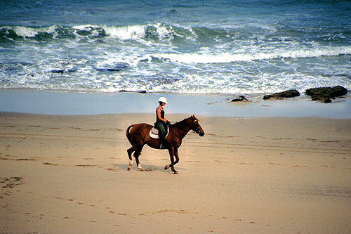 Tokomaru Bay photo