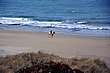 Tokomaru Bay photo