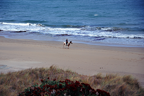 Tokomaru Bay photo