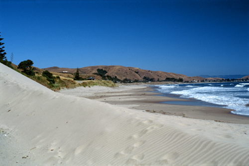 Southern Wainui Bay photo