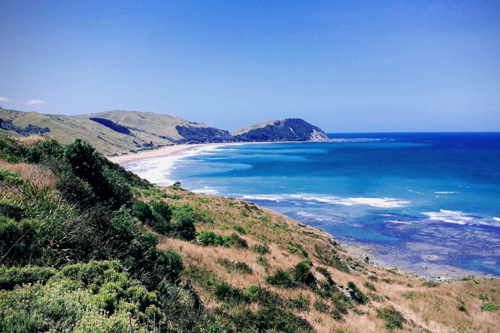 Makorori Beach Vista photo