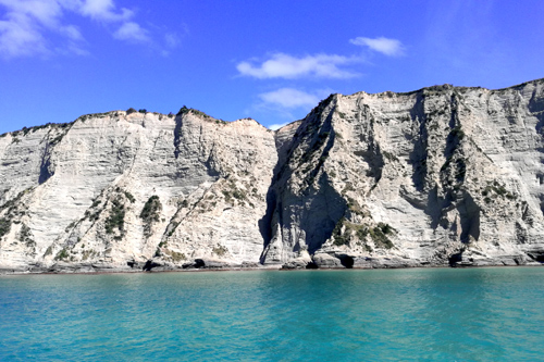 Tologa Bay Cliff Face photo