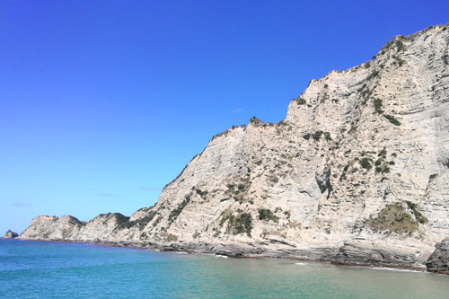 Cooks Cove Headland photo