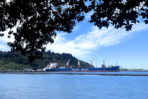 Gisborne Harbour photo