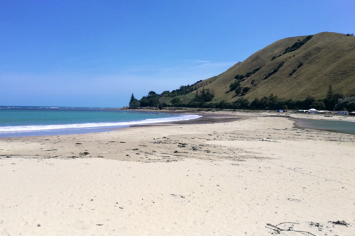 Turihaua Beach photo