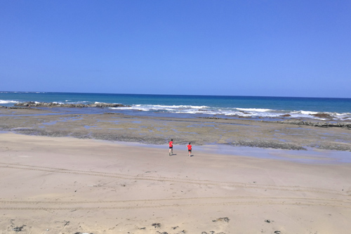 Lowtide at Makorori Beach photo