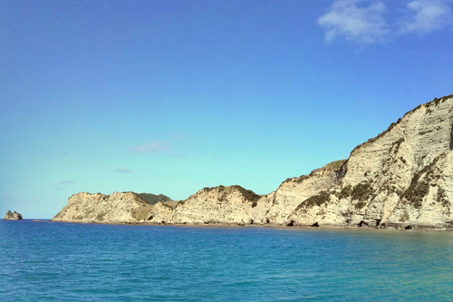 Headland at Tologa Bay photo