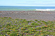 Napier Shoreline photo