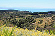Cape Kidnappers photo