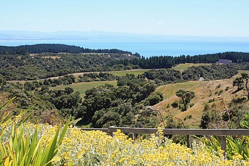 View of Hawke Bay photo