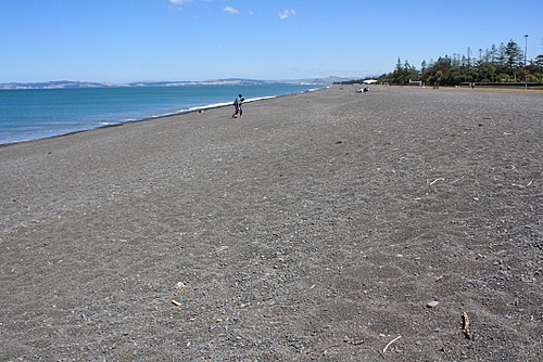 Napier Coastline photo