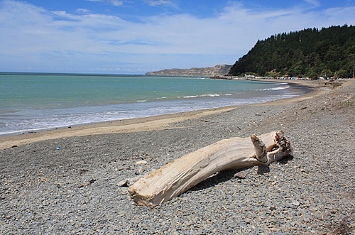 Hawke Bay Coastline photo