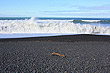 Napier Shoreline photo