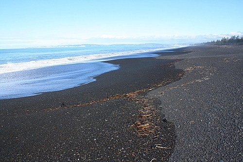 Napier Shoreline photo