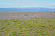 Napier Shoreline photo