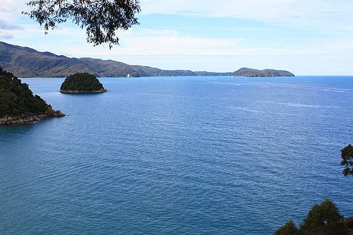 Tasman Bay View photo