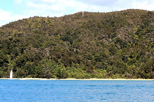 Towers Bay Kaiteriteri photo