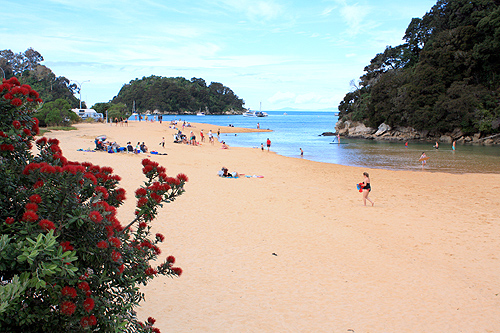 Kaiteriteri Estuary photo