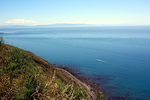 View of the Cook Strait photo